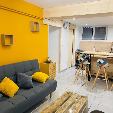 Studio 40M2 Plein Pied Avec Parking Jussac エクステリア 写真