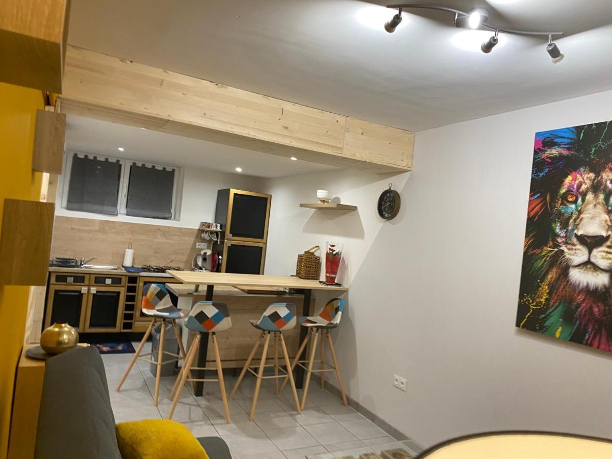 Studio 40M2 Plein Pied Avec Parking Jussac エクステリア 写真