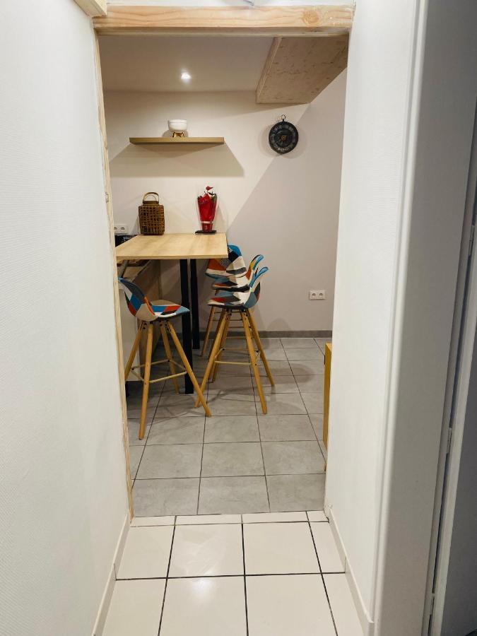 Studio 40M2 Plein Pied Avec Parking Jussac エクステリア 写真