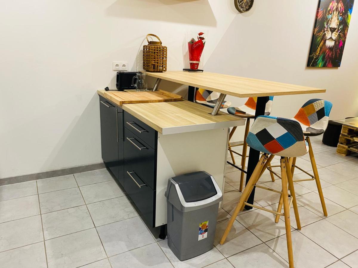 Studio 40M2 Plein Pied Avec Parking Jussac エクステリア 写真