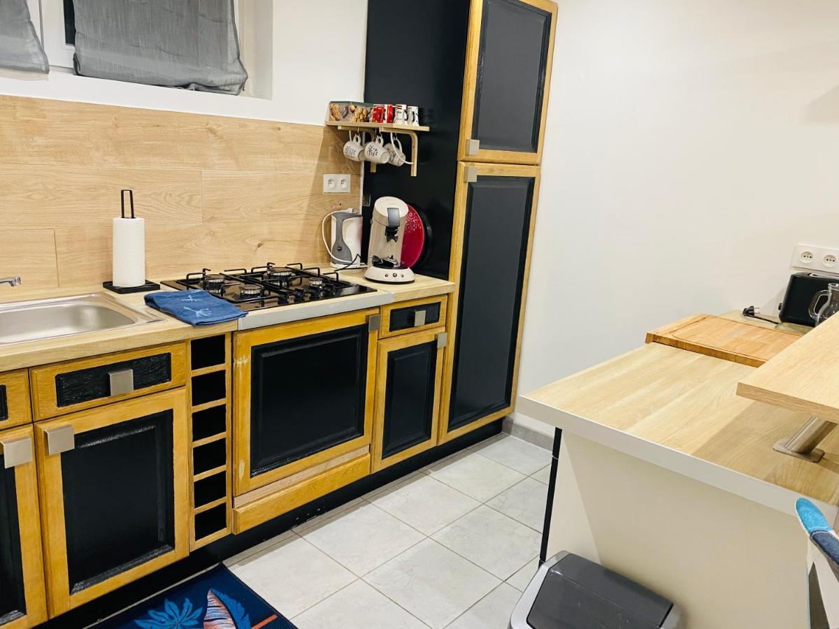 Studio 40M2 Plein Pied Avec Parking Jussac エクステリア 写真