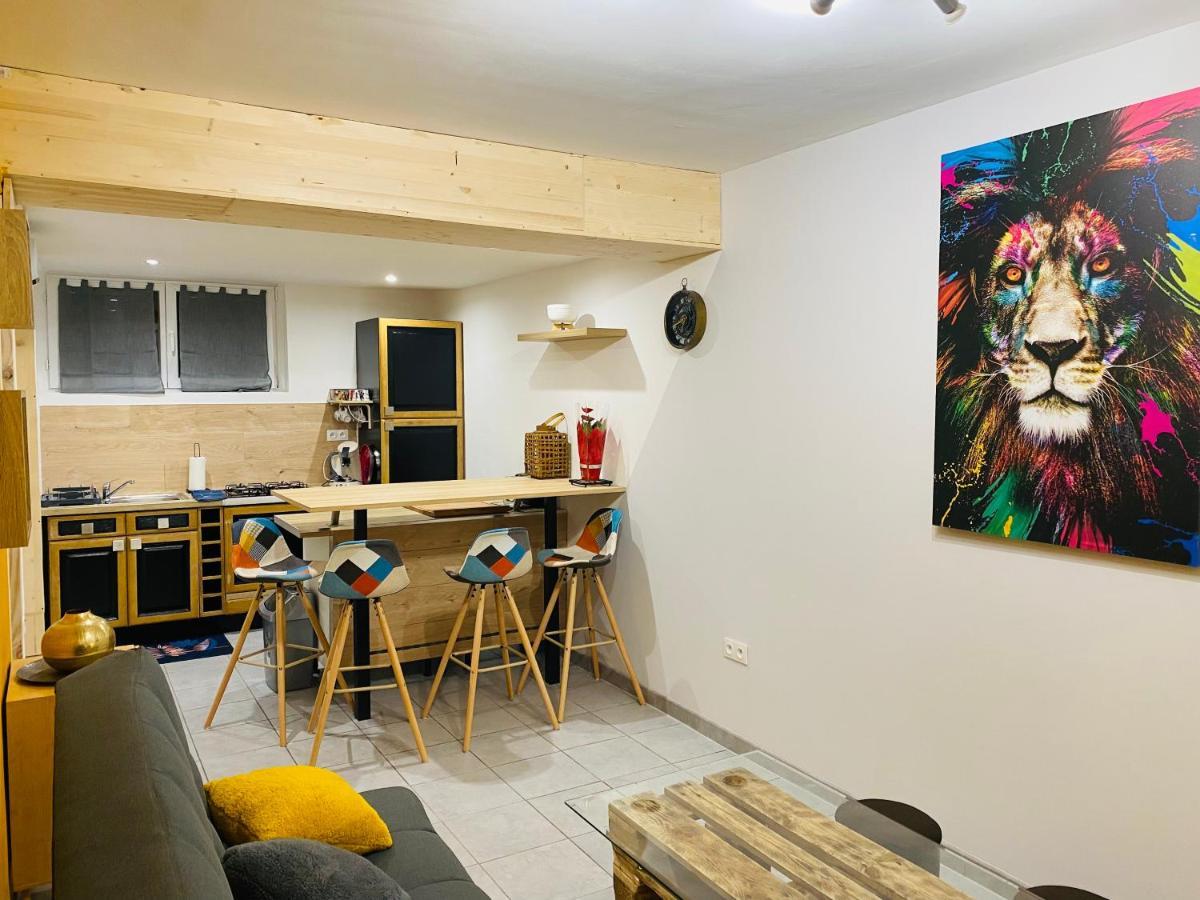 Studio 40M2 Plein Pied Avec Parking Jussac エクステリア 写真